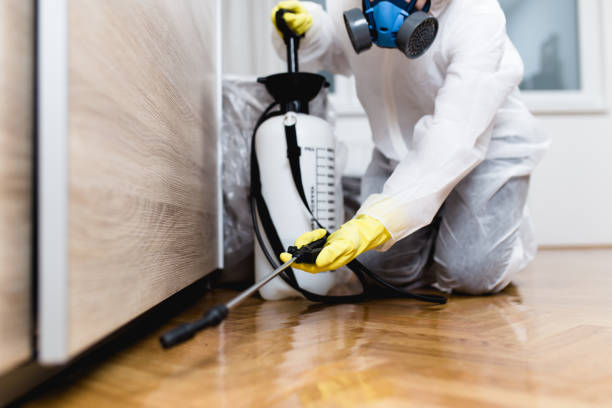 Best Exterminator Services  in Ann Arbor, MI