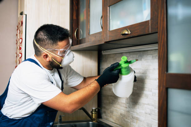 Best Best Pest Control Companies  in Ann Arbor, MI