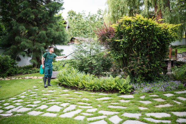 Best Wasp Removal Services  in Ann Arbor, MI