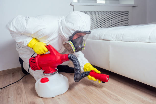 Best Pest Inspection Near Me  in Ann Arbor, MI