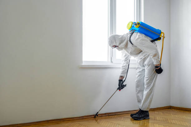 Best Flea Control Services  in Ann Arbor, MI
