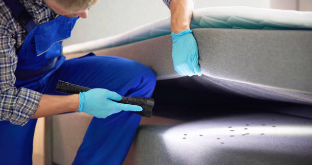 Best Pest Control Treatment  in Ann Arbor, MI