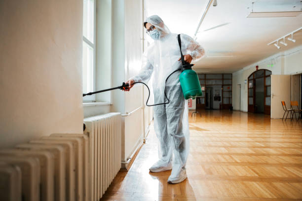 Best Local Pest Control Services  in Ann Arbor, MI