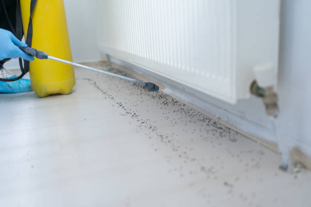 Best Termite Control Services  in Ann Arbor, MI