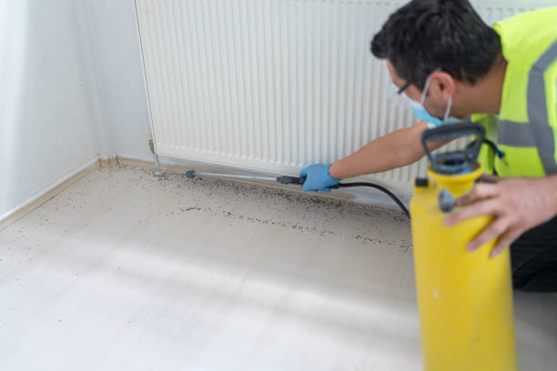 Best Pest Control Near Me  in Ann Arbor, MI