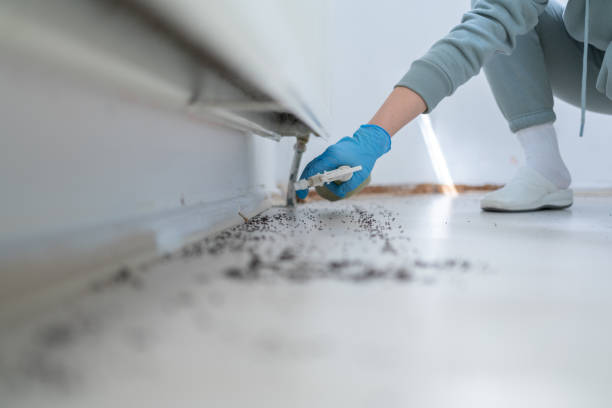 Best Commercial Pest Control Services  in Ann Arbor, MI
