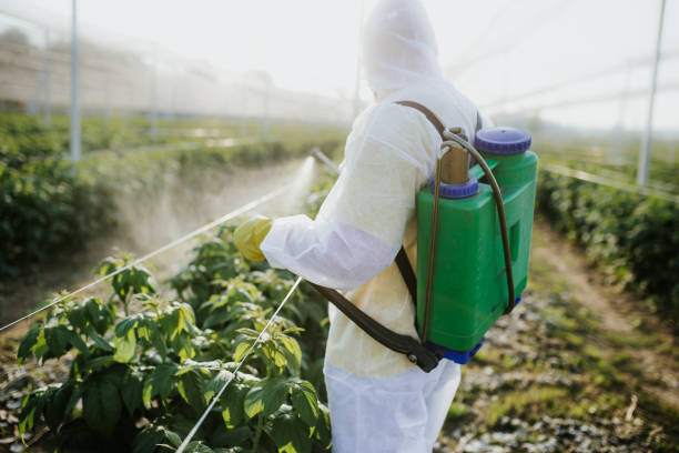 Best Bed Bug Extermination  in Ann Arbor, MI